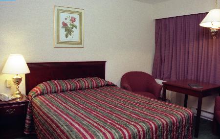 Sandman Inn & Suites Vernon 03